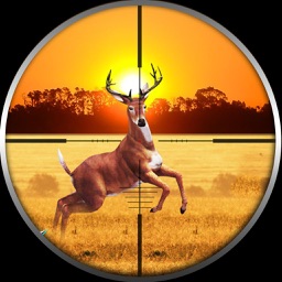 Jungle Mission: Deer Hunting