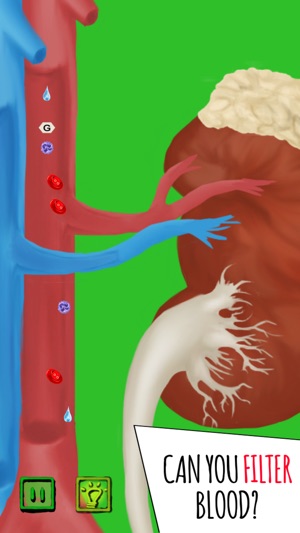 Inside The Human Body(圖8)-速報App