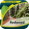 Redwood In- National Park
