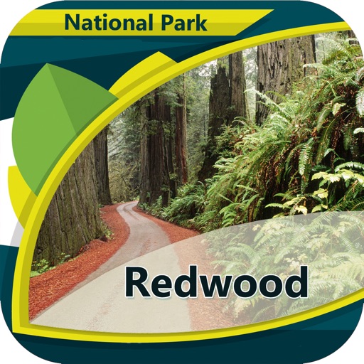 Redwood In- National Park