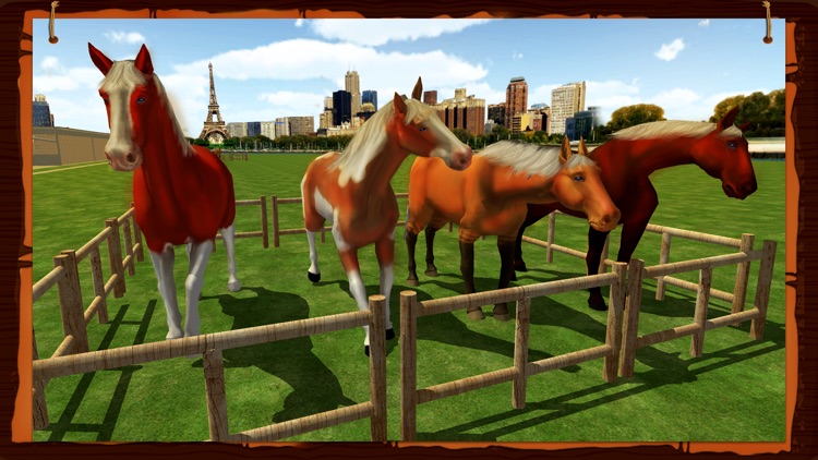 Horse Show Jumping Challenge screenshot-4