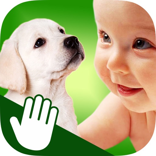ASL Animals - Lite iOS App