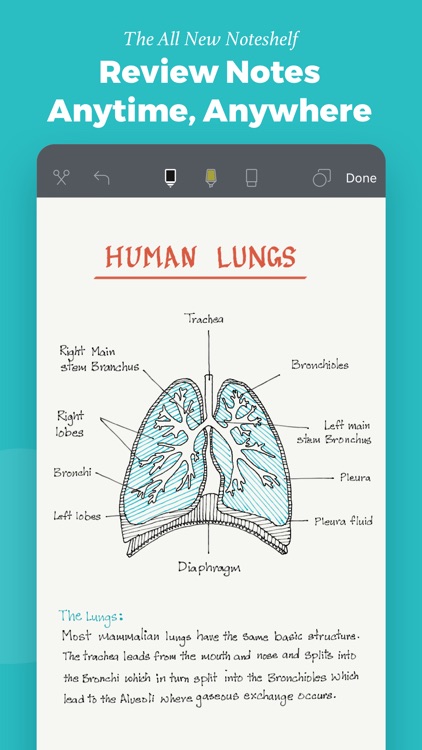 Noteshelf 2