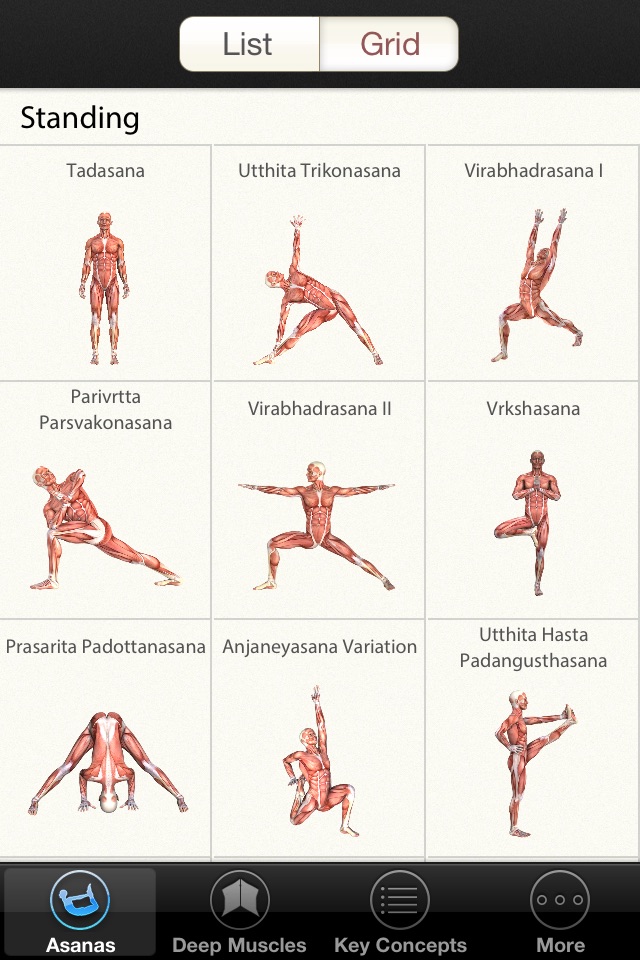 3D Yoga Anatomy screenshot 3