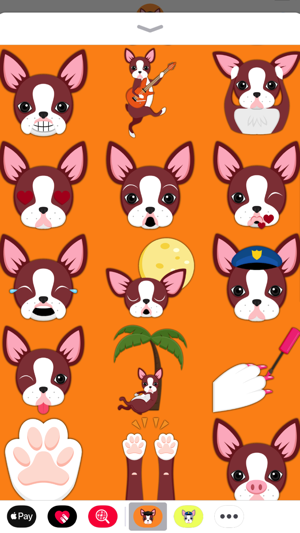 Red Boston Terrier(圖3)-速報App