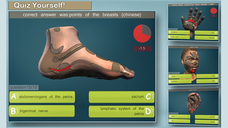 Total Reflexology-3D