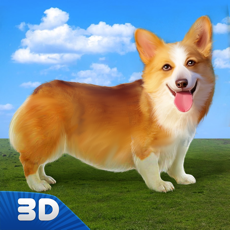 Activities of Corgi Stray Dog Simulator