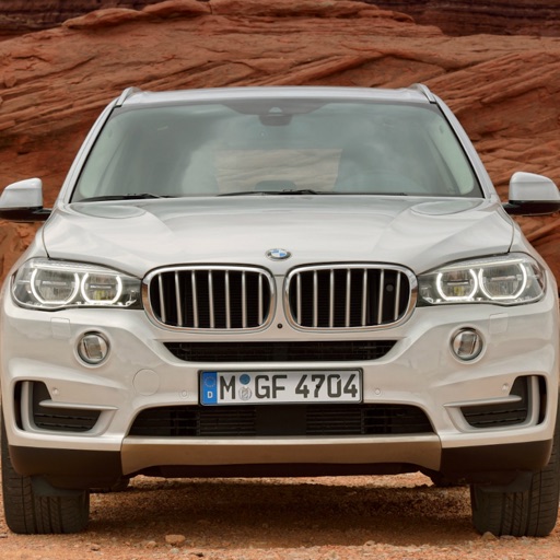 CarSpecs BMW X5 F15 2015 icon