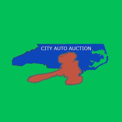 City Auto Auction