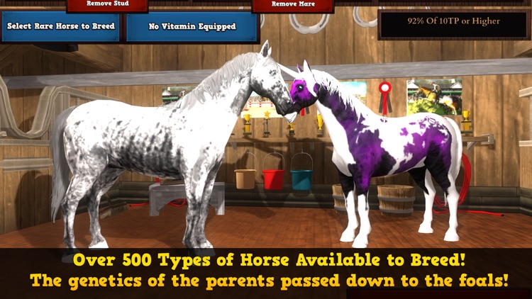 Horse Academy 3D