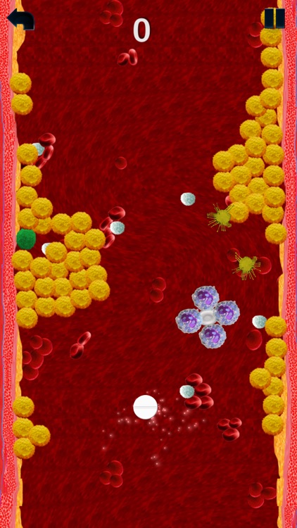 Lower Cholesterol