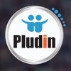 Pludin