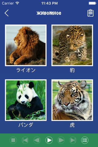 Japanese Word Flashcards Learn screenshot 2