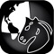 Chess Mini is a simple but interesting chess playing app