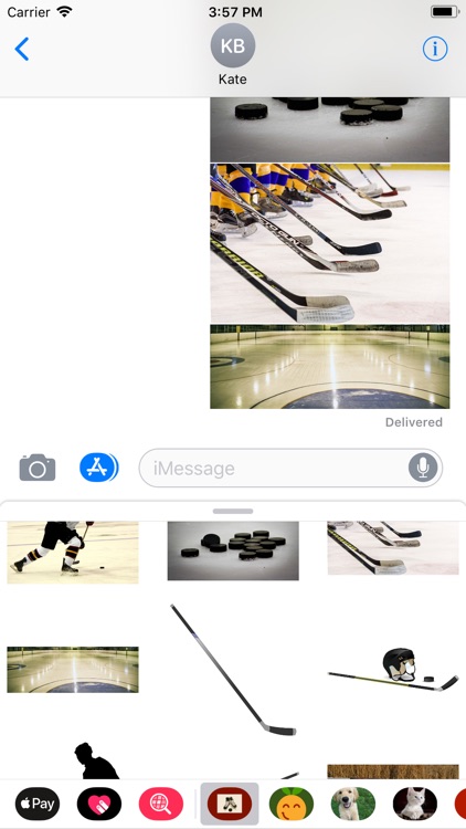 Hockey Sticker Pack screenshot-9