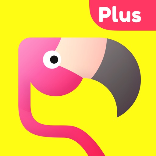Flamingo Plus-Add More Friends