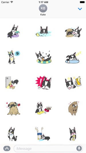 Pumpkin the Boston Terrier(圖1)-速報App