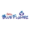 Blue Flamez Grill