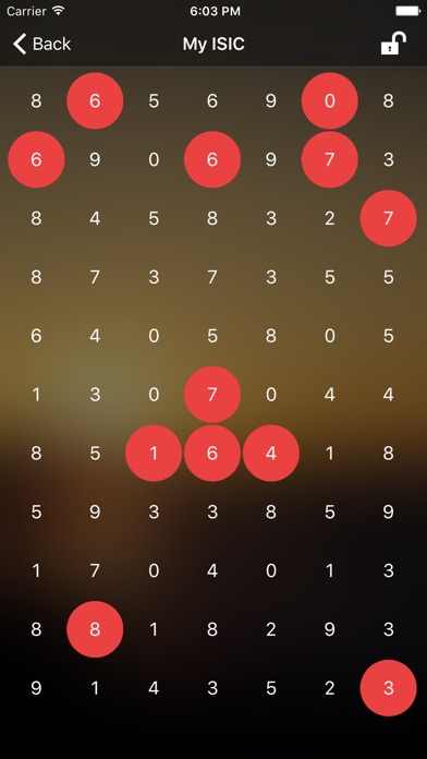 PIN Master iPhone PIN Master iPhone