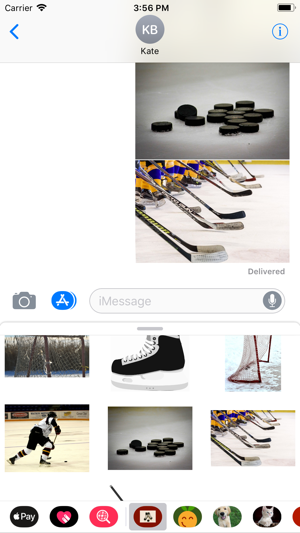 Hockey Sticker Pack(圖9)-速報App