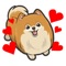 Send cute Pomeranian stickers