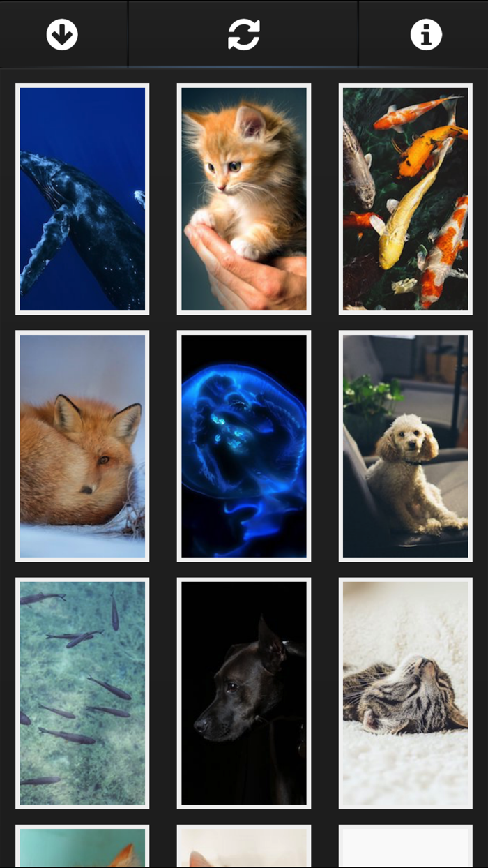 أروع الخلفيات