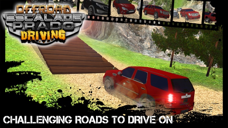 Offroad Escalade Prado Driving & Luxury Driver