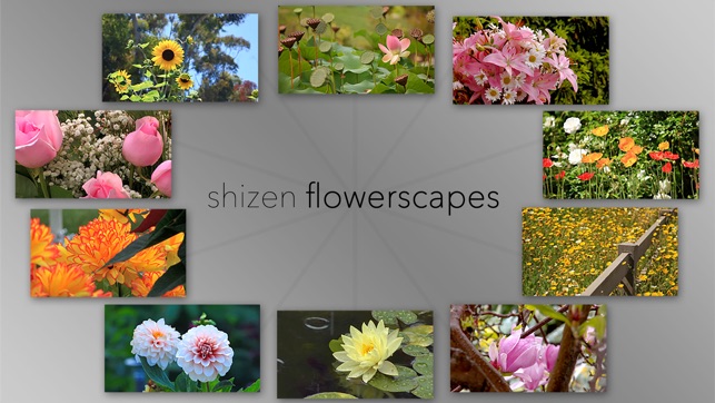 Flowerscapes(圖2)-速報App