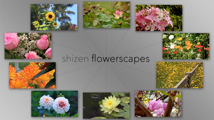 Flowerscapes