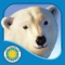 Come along to the North Pole where Polar Bear and her two cubs are growing hungry after spending the cold winder months in their den