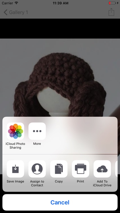 Crochet Beanie Pattern screenshot-3