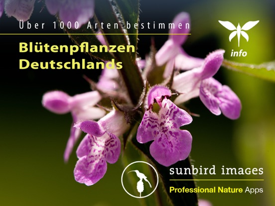Screenshot #4 pour Blütenpflanzen Deutschland Blumen, Sträucher Bäume