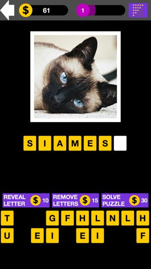 Domestic Cat Breed Quiz Maestro(圖5)-速報App