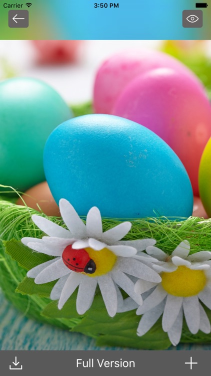 Easter Egg Wallpapers - Bunny Eggs Painting Photos