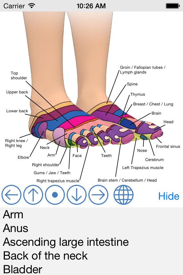 Foot Reflexology Chart screenshot 2