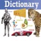 - Picture dictionary is something where the definition of a word is displayed in the form of a drawing or photograph