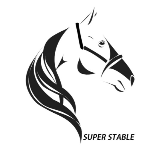 Super Stable Icon