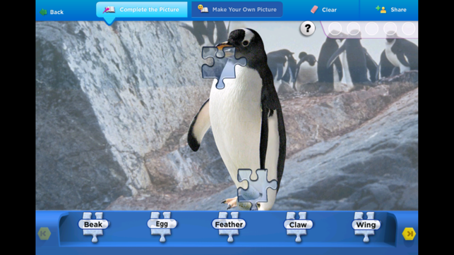 SeaWorld: Penguin Pals(圖5)-速報App