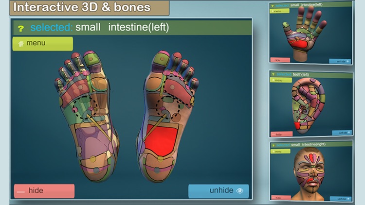 Total Reflexology-3D screenshot-4