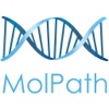 MolPath