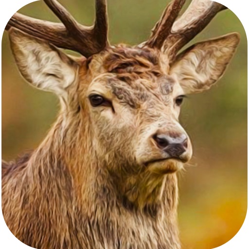 ULTIMATE White Tail African Deer Hunter  Pro iOS App