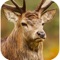 ULTIMATE White Tail African Deer Hunter  Pro