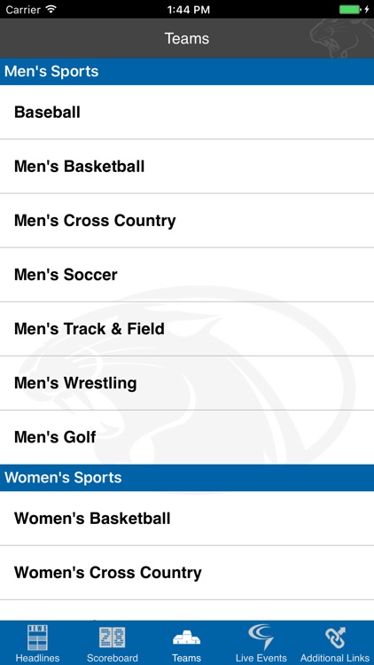 York College Athletics screenshot-3