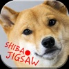 Shiba Inu Japan Dog Jigsaw Sliding Games for Kids