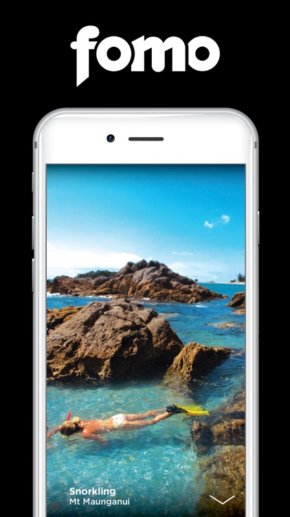 FOMO Guide Bay Of Plenty