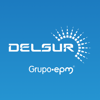 Delsur - Distribuidora de Electricidad DELSUR S.A. de C.V.