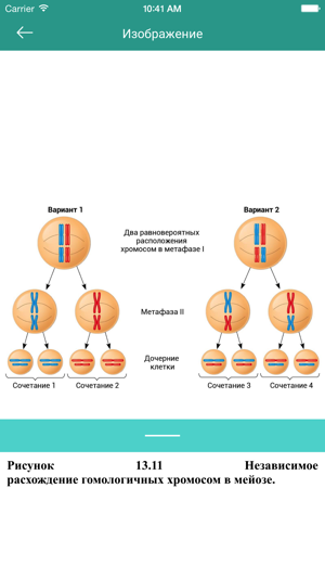 KPD-BIO(圖4)-速報App