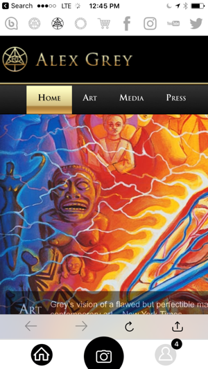 CoSM - Alex Grey & Allyson Grey(圖3)-速報App