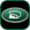Land Rover Dashboard Warning Lights and Engine Problems