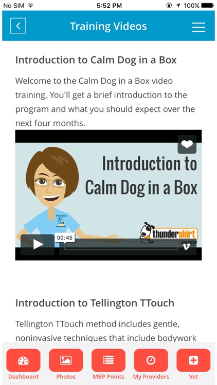Hydrant-Pet Care,Training,Fun